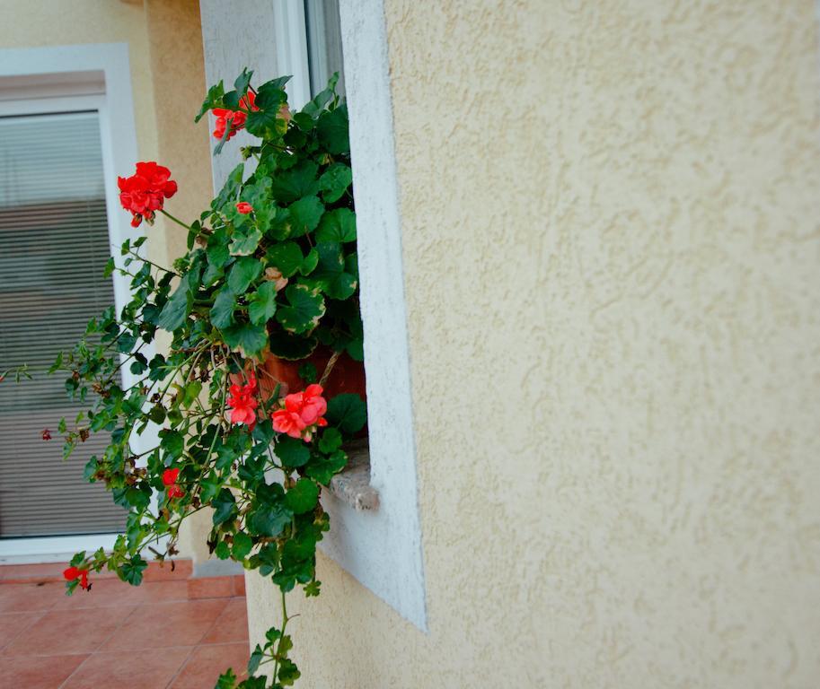 Pansion Veso Medjugorje Hotel Phòng bức ảnh